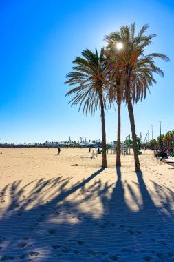 Valencia, İspanya - 22 Ocak 2023 Valencia, İspanya 'da Playa de las Arenas plajında gezinti.