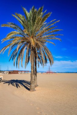 Valencia, İspanya Playa de las Arenas plajının güzel manzarası