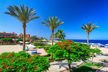 Marsa Alam, Egypt - May 10, 2023: Beach area of the Akassia Swiss Resort by the Red Sea in Marsa Alam, Egypt.