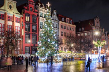 Gdansk, Poland - December 14, 2023: Christmas tree on the historic center of Gdansk at the Neptune Fountain, Poland.