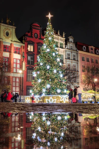 Gdansk Poland December 2023 Christmas Tree Historic Center Gdansk Poland — Foto Stock
