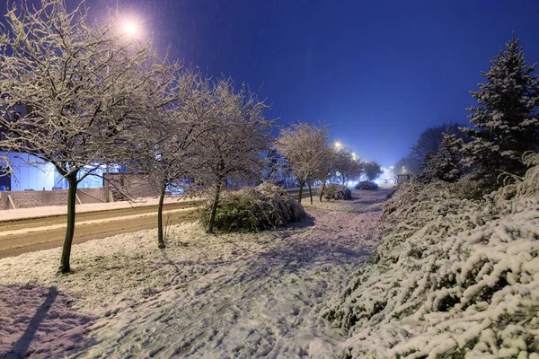 Starker Schneefall Über Nacht Polen — Stockfoto