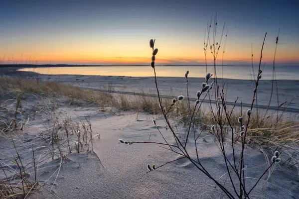 Baharda Baltık Denizi Ndeki Sobieszewo Adası Sahilinde Güzel Bir Günbatımı — Stok fotoğraf