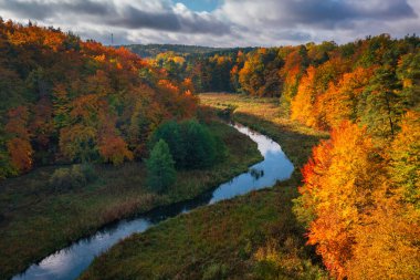 Ormanın sonbahar manzarası ve Kashubia 'daki çarpık Radunia nehri. Polonya