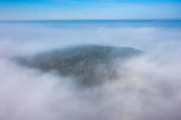 Increíble Paisaje Bosque Aéreo Sobre Niebla Polonia —  Fotos de Stock