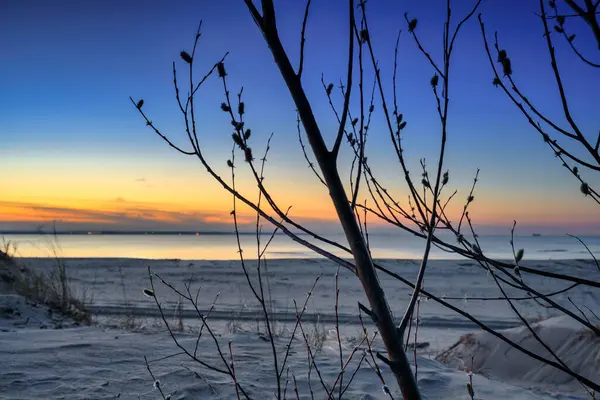 一个美丽的日落在波罗的海的索比瑟沃岛上的海滩上 图库图片