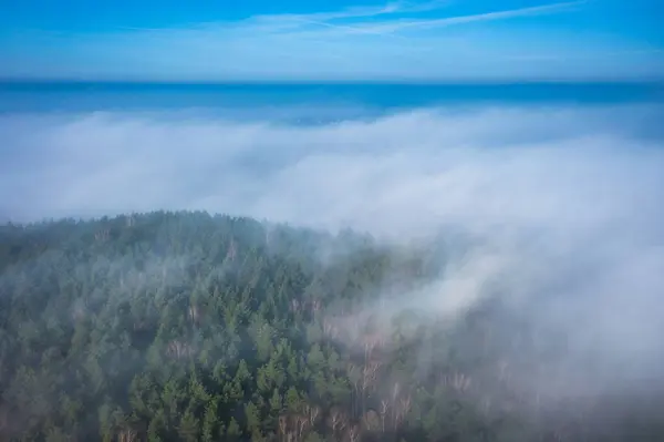 Amazing Aerial Forest Landscape Fog Poland Stock Photo