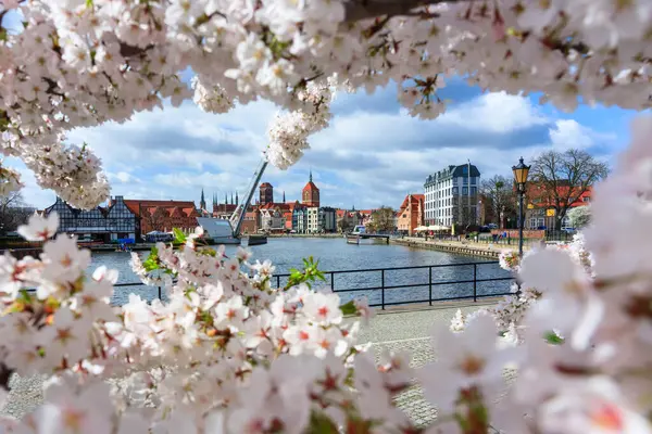Frühlingsblumen Blühen Den Bäumen Über Dem Fluss Motlawa Danzig Polen lizenzfreie Stockfotos