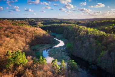 Ormanın bahar manzarası ve Kashubia 'daki çarpık Radunia nehri. Polonya