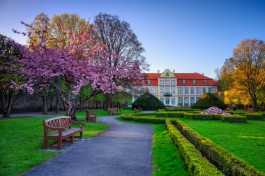 İlkbahar parkında çiçek açan ağaçlar, Gdansk Oliwa. Polonya