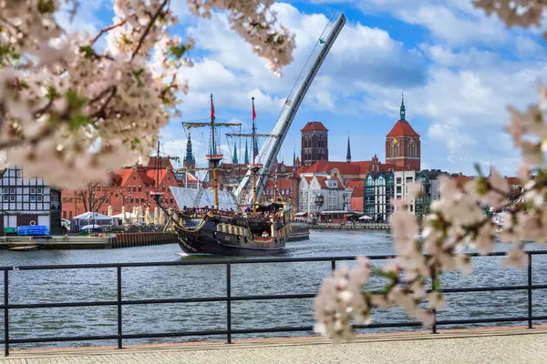 Gdansk Polônia Abril 2024 Flores Primavera Florescendo Nas Árvores Sobre Imagens De Bancos De Imagens
