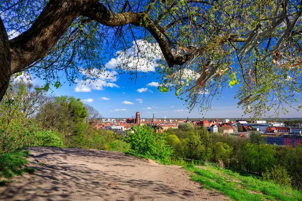 Schöner Blühender Baum Und Die Hauptstadt Danzig Frühling Polen Stockbild