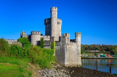 Blackrock Kalesi ve Cork 'taki gözlemciler güneşli bir günde, İrlanda