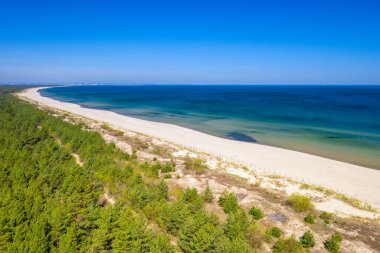 Yazın Sobieszewo, Polonya 'da Baltık Denizi sahilinin güzel manzarası