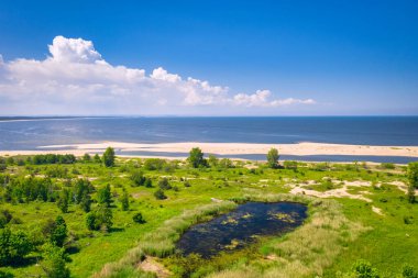 Yazın Sobieszewo, Polonya 'da Baltık Denizi sahilinin güzel manzarası