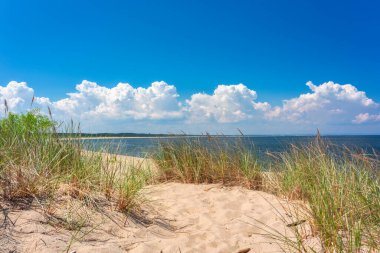 Yazın Baltık Denizi 'nde güzel bir sahil, Polonya