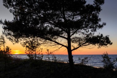 Baltık Denizi 'ndeki Sobieszewo Adası sahilinde güzel bir gün batımı. Polonya