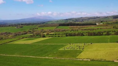 İrlanda 'nın yeşil çayır manzaralı Killarney, Co.