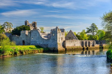 Yazın Adare 'deki Desmond Kalesi' nin kalıntıları, Co. Limerick. İrlanda