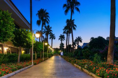 Tekirova, Türkiye - 9 Temmuz 2024: Tekirova, Kemer 'deki Club Phaselis Rose otelinin güzel palmiye ağacı sokağı. Türkiye