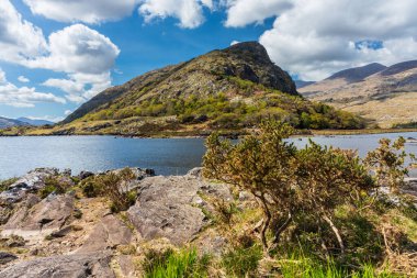 Kerry ilçesindeki Killarney Ulusal Parkı 'nın manzarası. İrlanda