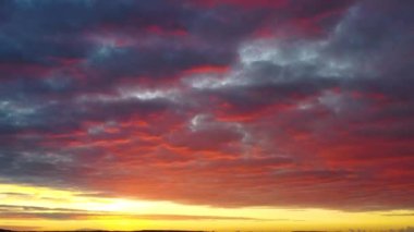 Polonya 'daki ormanda inanılmaz bir gün batımı.