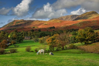 Lake District Ulusal Parkı 'ndaki güzel sonbahar manzarası. İngiltere, İngiltere