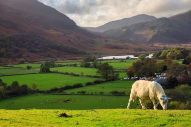 Lake District Ulusal Parkı 'ndaki güzel sonbahar manzarası. İngiltere, İngiltere