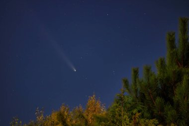 Comet C/2023 A3 Tsuchinshan-ATLAS passing over the sky in Poland. clipart