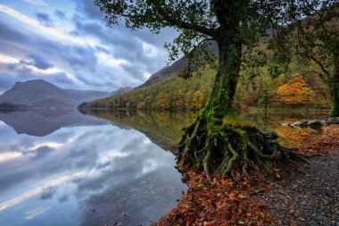 Lake District Ulusal Parkı 'ndaki Buttermere gölünde güzel bir sonbahar. İngiltere, İngiltere