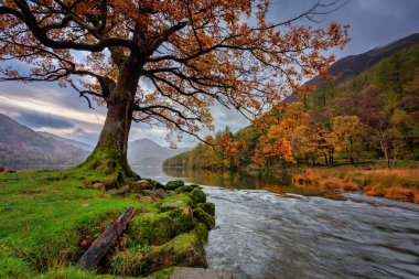 Lake District Ulusal Parkı 'ndaki Buttermere gölünde güzel bir sonbahar. İngiltere, İngiltere