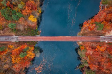 Autumnal landscape of the forest and twisted Radunia river in Kashubia. Poland clipart