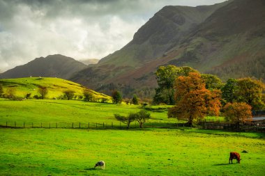İngiltere, İngiltere 'deki Lake District' in güzel manzaraları