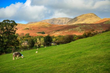 İngiltere, İngiltere 'deki Lake District' in güzel manzaraları