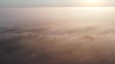 Rutki, Kashubia 'daki sisli manzara ve demiryolu köprüsü. Polonya