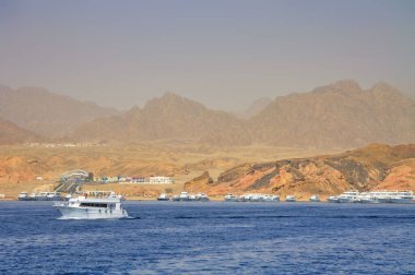 Sharm El Sheikh, Mısır yakınlarındaki güzel Kızıldeniz kıyıları