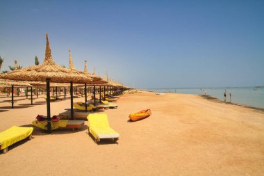 Mısır şemsiye red sea beach