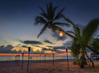 Tayland 'da tropikal hindistan cevizi palmiyesiyle plajda gün batımı