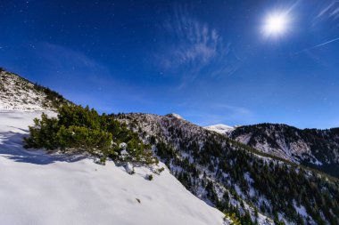 Kışın Tatras 'ta bir patikanın gece manzarası. Polonya
