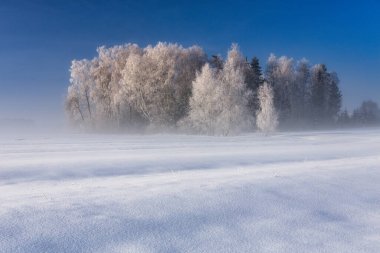 Beautiful landscape of the frozen meadow with trees in Podhale at winter. Poland clipart