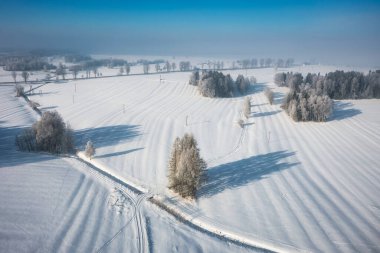 Beautiful landscape of the frozen meadow with trees in Podhale at winter. Poland clipart