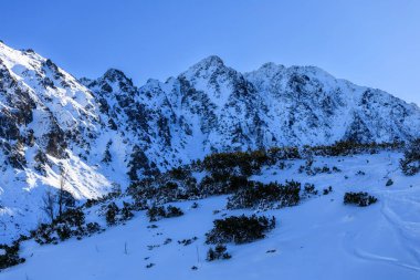 Polonya 'nın Tatra Dağları' nın kış manzarasında Granaty Dağları
