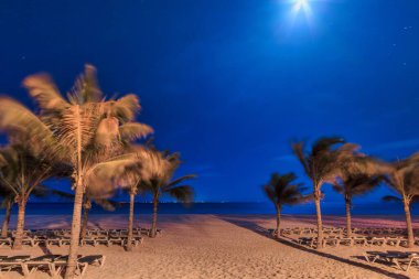Playa del Carmen 'deki Karayip Denizi' ndeki sahil. Gece, Meksika.