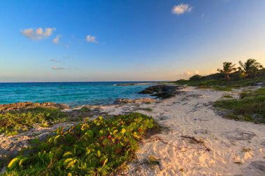 Playa del Carmen, Meksika 'daki Karayip Denizi' ndeki güzel sahil..