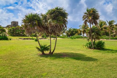 Meksika'da bir tulum arkeolojik kalıntılar