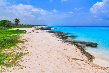 Playa del Carmen, Meksika 'daki Karayip Denizi' ndeki güzel sahil..