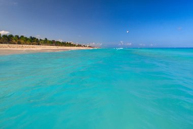 Karayip Denizi Playa del Carmen, Meksika kumsalda