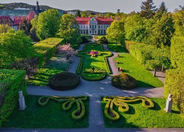 İlkbahar parkında çiçek açan ağaçlar, Gdansk Oliwa. Polonya