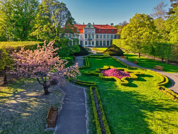 İlkbahar parkında çiçek açan ağaçlar, Gdansk Oliwa. Polonya