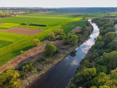 Kuzey Polonya 'daki yeşil tarlaların hava manzarası ilkbahar zamanı